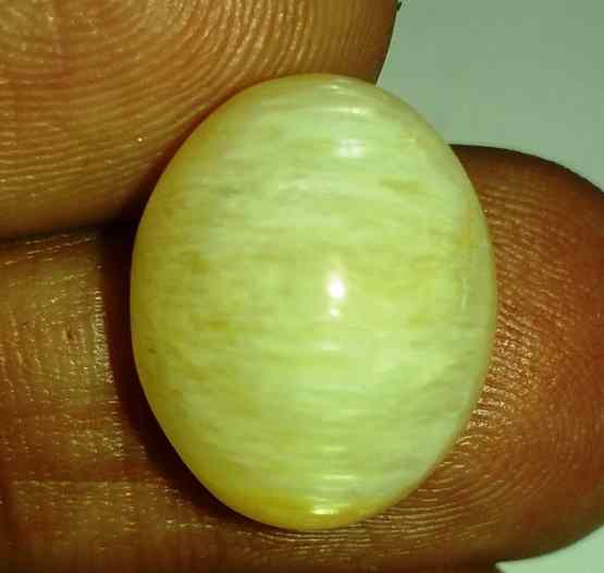 11.76 Carats Tourmaline Cat's Eye 15.87 x 13.06 x 8.92 mm