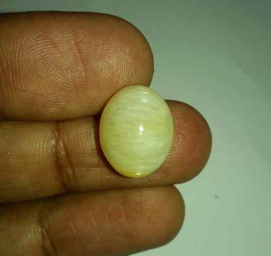 11.76 Carats Tourmaline Cat's Eye 15.87 x 13.06 x 8.92 mm