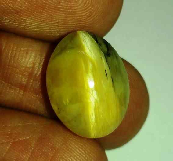 10.62 Carats Tourmaline Cat's Eye 17.00 x 13.06 x 8.33 mm