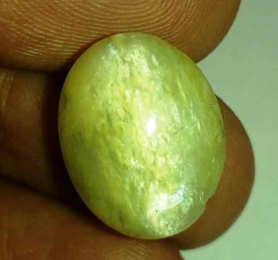 11.38 Carats Tourmaline Cat's Eye 16.99 x 13.42 x 8.30 mm