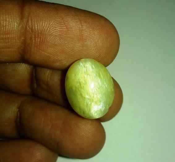 11.38 Carats Tourmaline Cat's Eye 16.99 x 13.42 x 8.30 mm