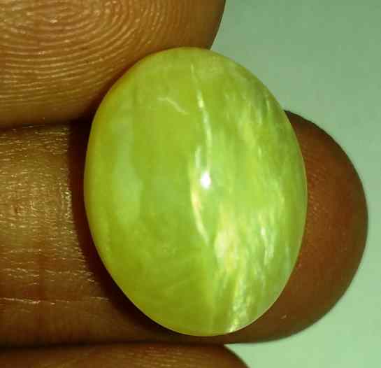 11.25 Carats Tourmaline Cat's Eye 16.86 x 13.05 x 8.78 mm