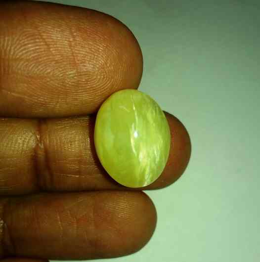 11.25 Carats Tourmaline Cat's Eye 16.86 x 13.05 x 8.78 mm
