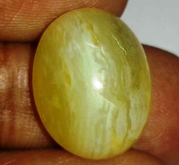 12.44 Carats Tourmaline Cat's Eye 18.07 x 14.33 x 8.88 mm