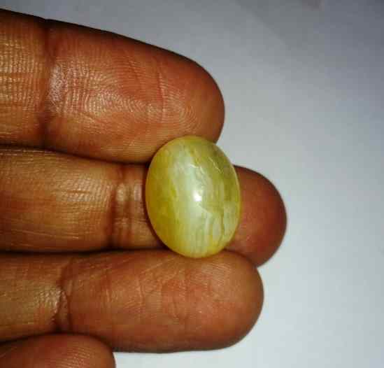 12.44 Carats Tourmaline Cat's Eye 18.07 x 14.33 x 8.88 mm