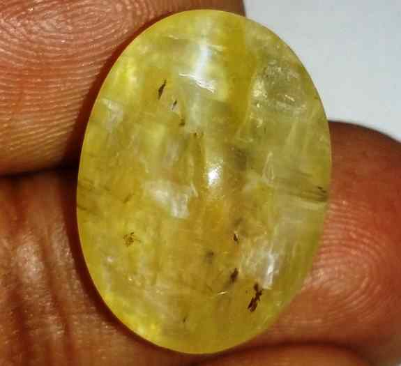 12.39 Carats Tourmaline Cat's Eye 20.06 x 14.57 x 7.78 mm