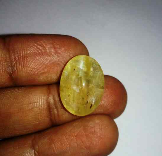 12.39 Carats Tourmaline Cat's Eye 20.06 x 14.57 x 7.78 mm