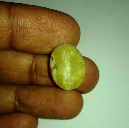 13.51 Carats Tourmaline Cat's Eye 17.82 x 13.70 x 9.22 mm
