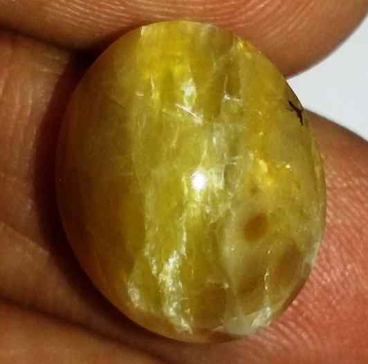 11.48 Carats Tourmaline Cat's Eye 15.72 x 12.88 x 9.57 mm