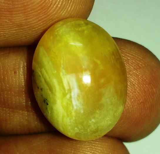 11.18 Carats Tourmaline Cat's Eye 17.60 x 13.44 x 7.94 mm