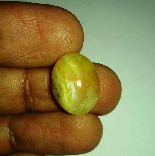 11.18 Carats Tourmaline Cat's Eye 17.60 x 13.44 x 7.94 mm