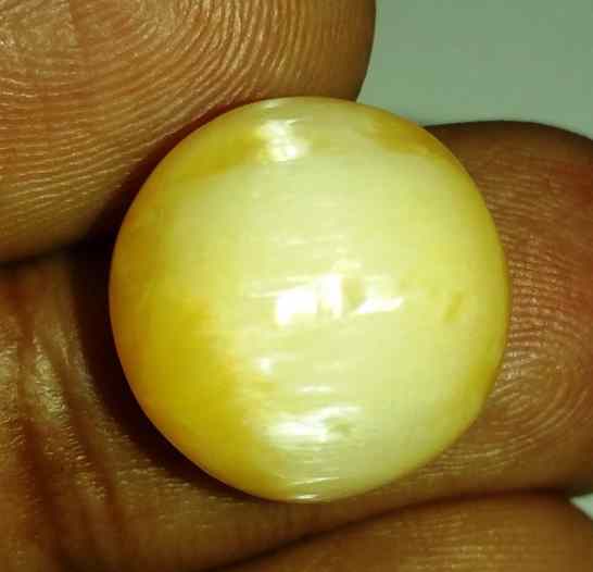 17.07 CaratsTourmaline Cat's Eye 15.02 x 17.72 x 10.78 mm