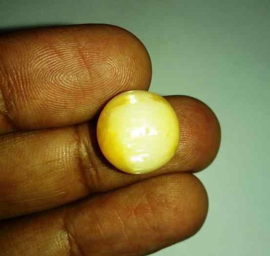 17.07 CaratsTourmaline Cat's Eye 15.02 x 17.72 x 10.78 mm