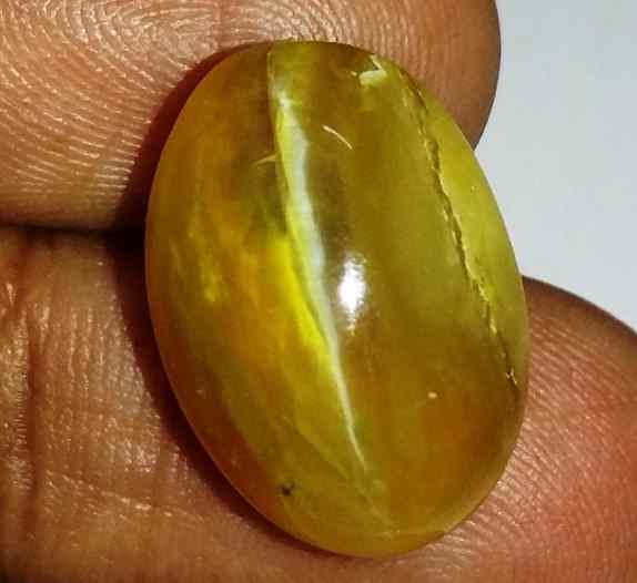 16.96 Carats Kanak Khet Chrysoberyl Cat's Eye 19.26 x 13.46 x 10.98 mm