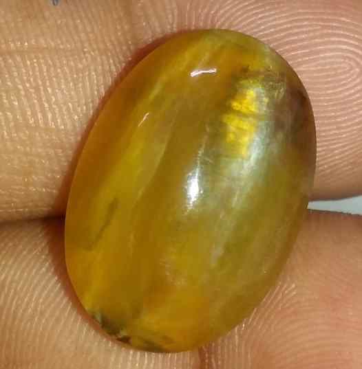 15.48 Carats Kanak Khet Chrysoberyl Cat's Eye 20.28 x 14.20 x 9.35 mm
