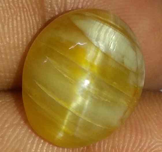 11.58 Carats Kanak Khet Chrysoberyl Cat's Eye 15.89 x 13.03 x 9.35 mm