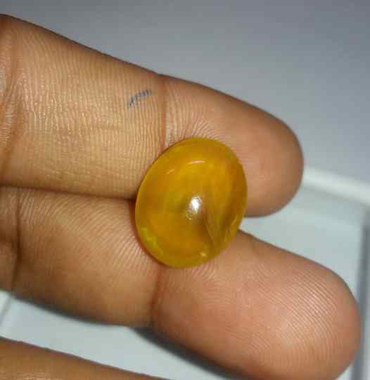 8.78 Carats Kanak Khet Chrysoberyl Cat's Eye 16.65 x 13.48 x 7.38 mm