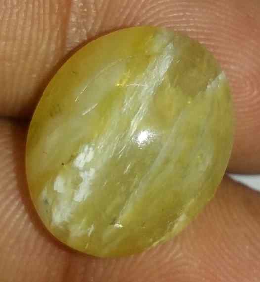 11.09 Carats Chrysoberyl Cat's Eye 16.05 x 13.15 x 8.88 mm