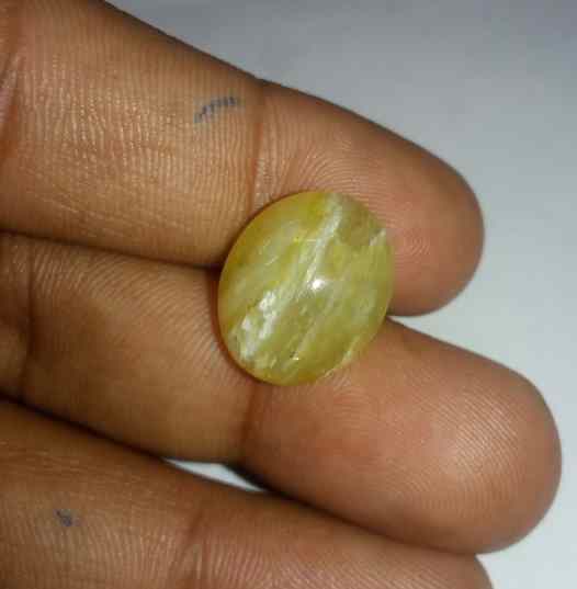 11.09 Carats Chrysoberyl Cat's Eye 16.05 x 13.15 x 8.88 mm