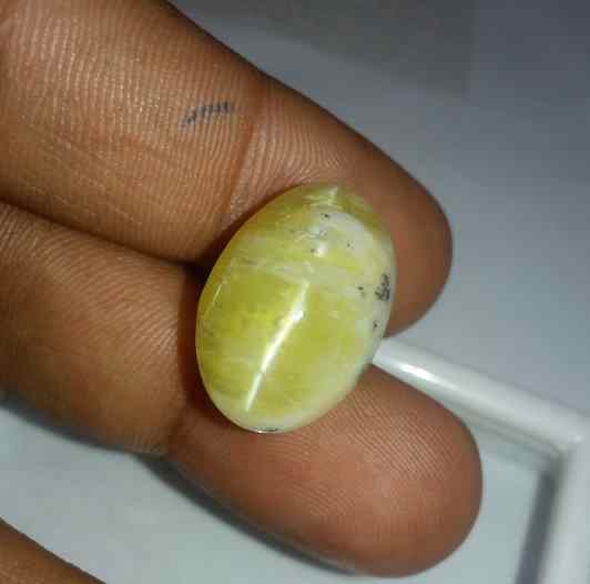 19.49 Carat Yellow Kanak Khet Chrysoberyl Cat's Eye 19.60 x 13.83 x 12.15 mm