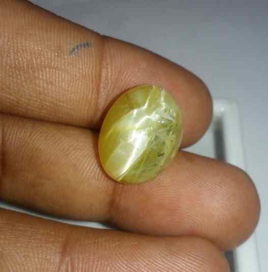13.36 Carat Yellow Kanak Khet Chrysoberyl Cat's Eye 17.30 x 13.33 x 9.88 mm