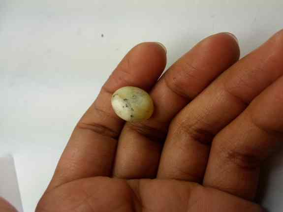 9.77 Carat Yellow Kanak Khet Chrysoberyl Cat's Eye 14.85 x 11.94 x 10.00 mm