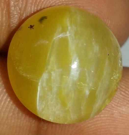 10.31 Carat Yellow Kanak Khet Chrysoberyl Cat's Eye 17.14 x 16.35 x 9.78 mm