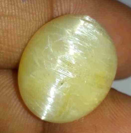 14.54 Carat Yellow Kanak Khet Chrysoberyl Cat's Eye 19.03 x 15.81 x 9.76 mm