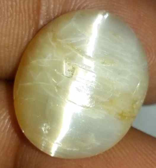 11.76 Carat Yellow Kanak Khet Chrysoberyl Cat's Eye 19.01 x 15.68 x 7.60 mm