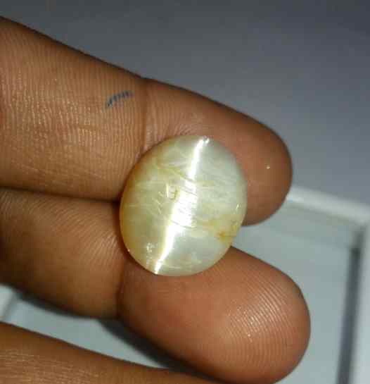 11.76 Carat Yellow Kanak Khet Chrysoberyl Cat's Eye 19.01 x 15.68 x 7.60 mm