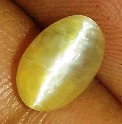 1.21 Carat Yellow Kanak Khet Chrysoberyl Cat's Eye 7.92 x 5.23 x 4.68 mm