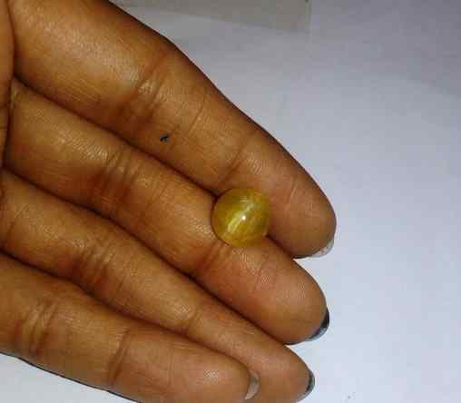 3.56 Carat Yellow Kanak Khet Chrysoberyl Cat's Eye 9.75 x 9.69 x 6.47 mm