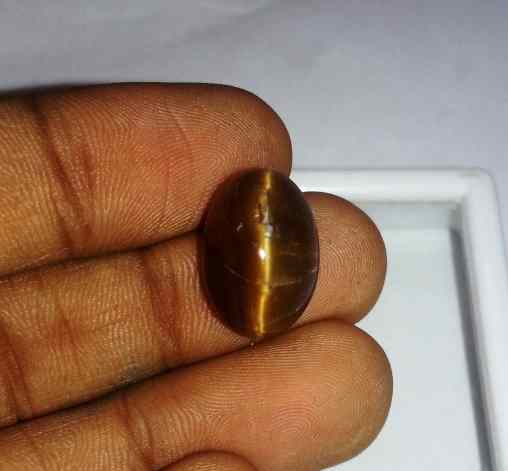 8.51 Carat Orangish Yellow Kanak Khet Chrysoberyl Cat's Eye 15.99 x 11.20 x 8.86 mm