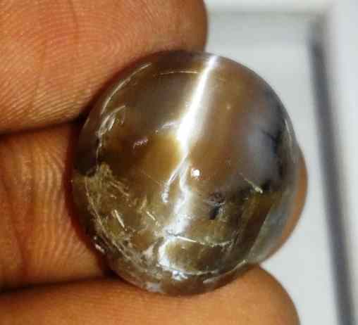 15.95 Carat Grey Kanak Khet Chrysoberyl Cat's Eye 18.19 x 16.72 x 9.92 mm