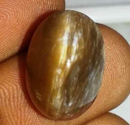 11.01 Carat Orangish Yellow Kanak Khet Chrysoberyl Cat's Eye 15.51 x 10.89 x 10.89 mm