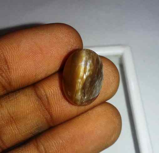 11.01 Carat Orangish Yellow Kanak Khet Chrysoberyl Cat's Eye 15.51 x 10.89 x 10.89 mm