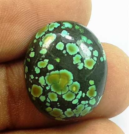 10.69 Carats Turquoise 18.04 x 15.33 x 5.49 mm