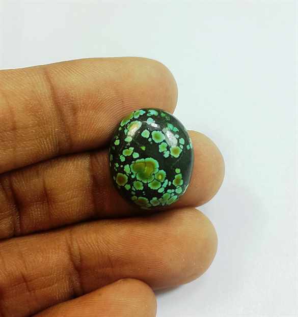10.69 Carats Turquoise 18.04 x 15.33 x 5.49 mm