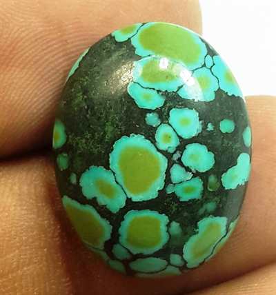 11.24 Carats Turquoise 20.74 x 16.11 x 5.46 mm