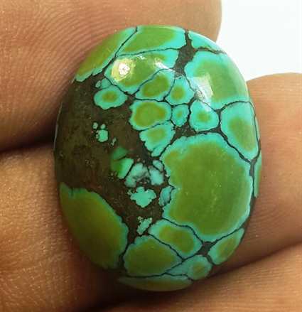 13.17 Carats Turquoise 21.20 x 16.61 x 5.71 mm