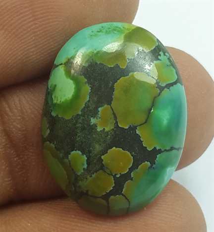 11.85 Carats Turquoise 21.11 x 15.92 x 4.79 mm