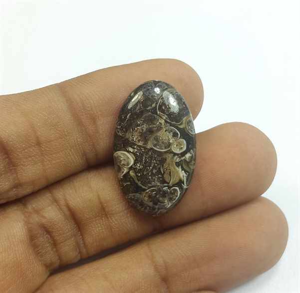 10.07 Carats Tutela Fossil 24.27 x 14.89 x 3.84 mm