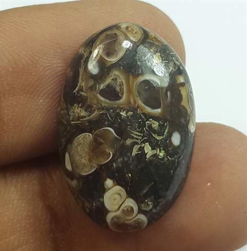 11.92 Carats Tutela Fossil 22.19 x 14.92 x 4.79 mm