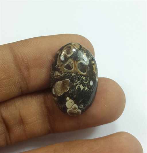 11.92 Carats Tutela Fossil 22.19 x 14.92 x 4.79 mm