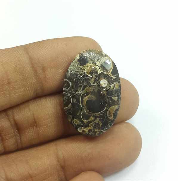 17.74 Carats Tutela Fossil 26.08 x 17.50 x 4.73 mm