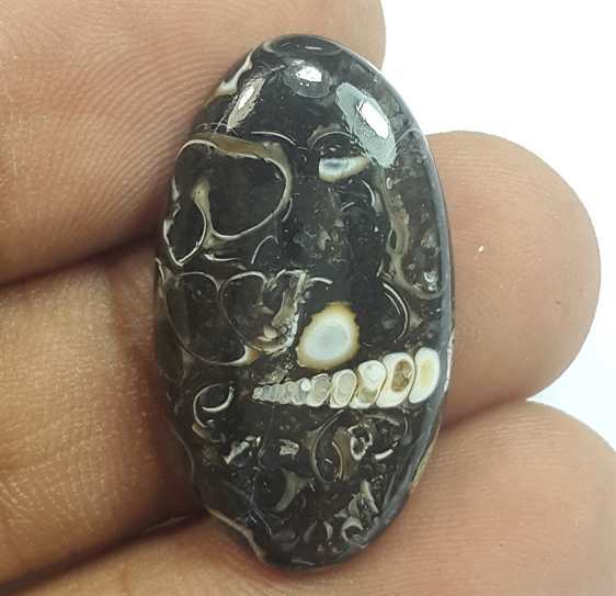 12.20 Carats Tutela Fossil 26.77 x 14.98 x 4.97 mm