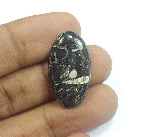 12.20 Carats Tutela Fossil 26.77 x 14.98 x 4.97 mm