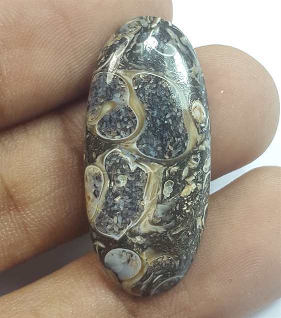 15.43 Carats Tutela Fossil 31.31 x 14.28 x 4.44 mm