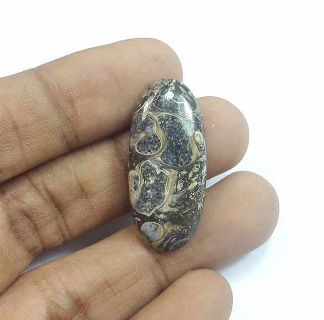 15.43 Carats Tutela Fossil 31.31 x 14.28 x 4.44 mm