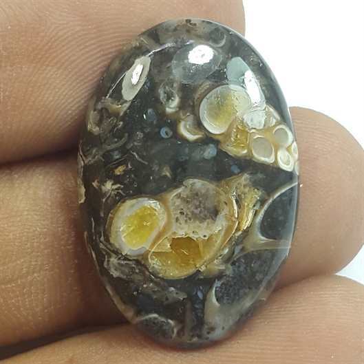 13.79 Carats Tutela Fossil 25.78 x 17.46 x 4.30 mm